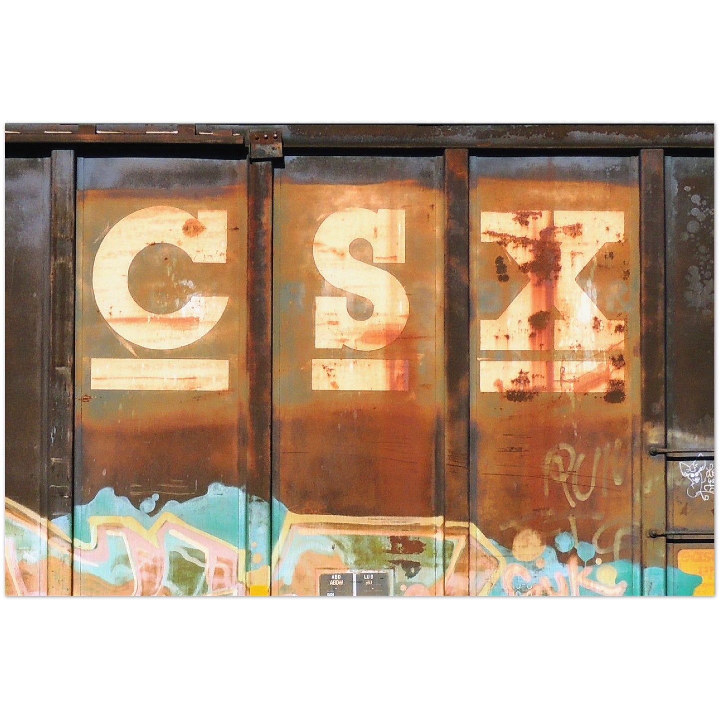 CSX HORIZONTAL METAL PRINT