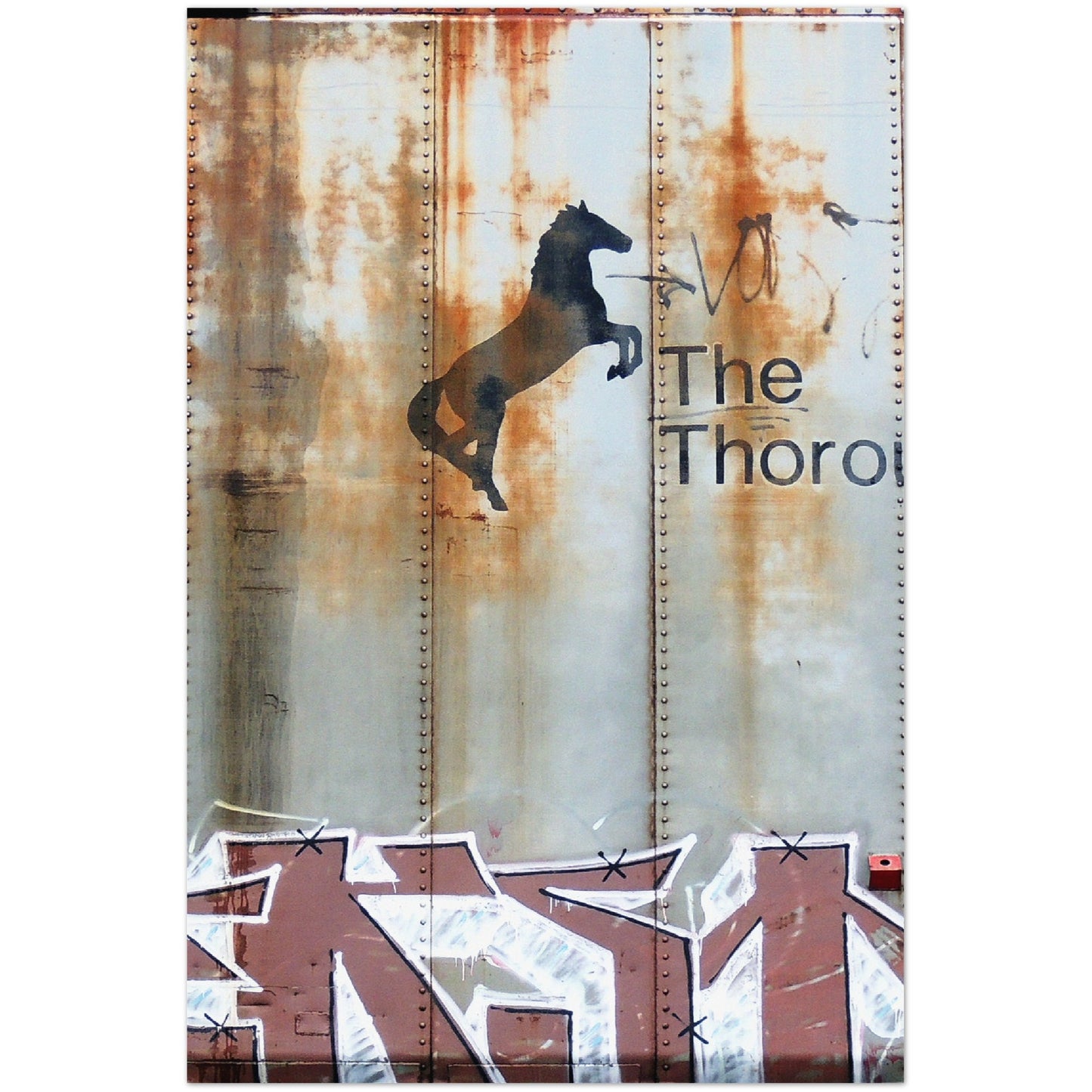 NS KEEP IT THORO VERTICAL METAL PRINT