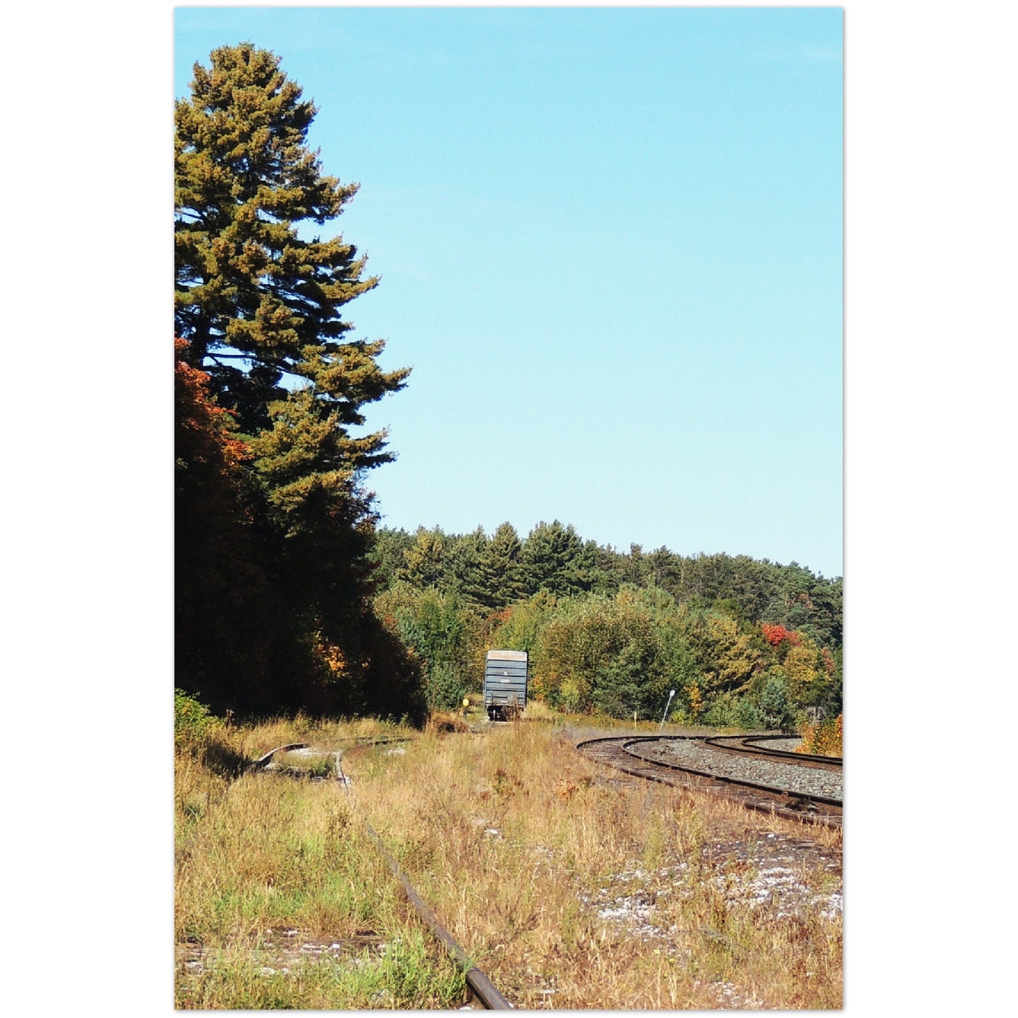 RAILFAN LONELY NORTHERN BOXCAR VERTICAL METAL PRINT